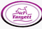 Logo for Contemporary Targett
