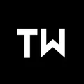 Logo for TechWiser