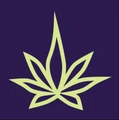 Logo for Terpli