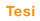 Logo for Tesi