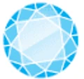 Logo for Clever Sense