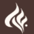 Logo for twinflames
