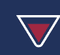 Logo for VinumAi