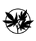Logo for Cannalle