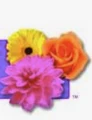 Logo for Floral Computer Systems