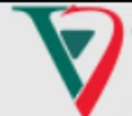 Logo for VFD Group