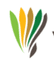 Logo for Vital Group