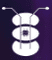 Logo for InsectSense