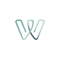 Logo for Wonsulting