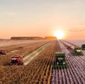 Image for Food and Agriculture Tech