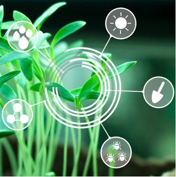An image depicting AgriTech - Sector Report