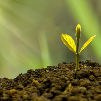An image depicting Climate FinTech Investor Landscape