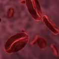 Image for Drug Delivery