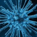 Image for Infectious Diseases